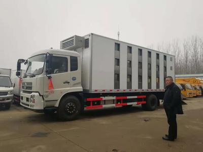 福建仔猪运输转运车价格实惠，优质畜禽运输车推荐