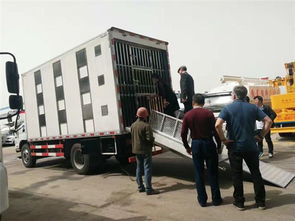 山西长治福田欧马可畜禽运输车价格解析与购车指南